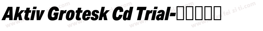 Aktiv Grotesk Cd Trial字体转换